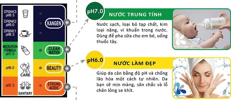 Máy lọc nước Kangen Leveluk JRIV