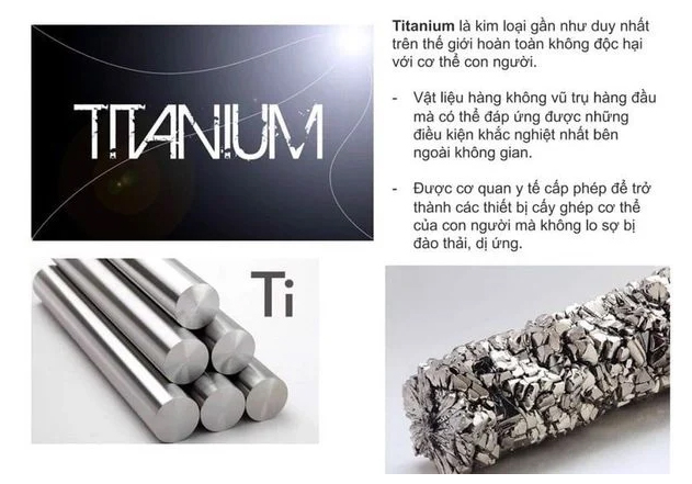 Tấm điện cực Kangen Leveluk SD501 làm bằng Titan phủ Platinum nguyên chất