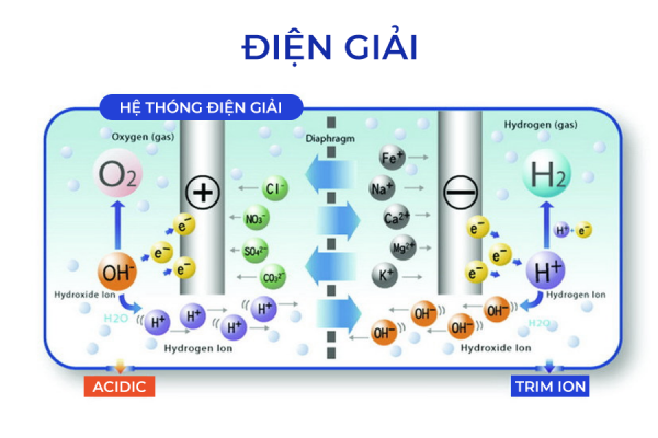 ion kiềm Trim ion