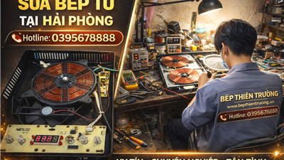 Sửa Bếp Từ Tại Hải Phòng Uy Tín – Dịch Vụ Chuyên Nghiệp Tại Bếp Thiên Trường